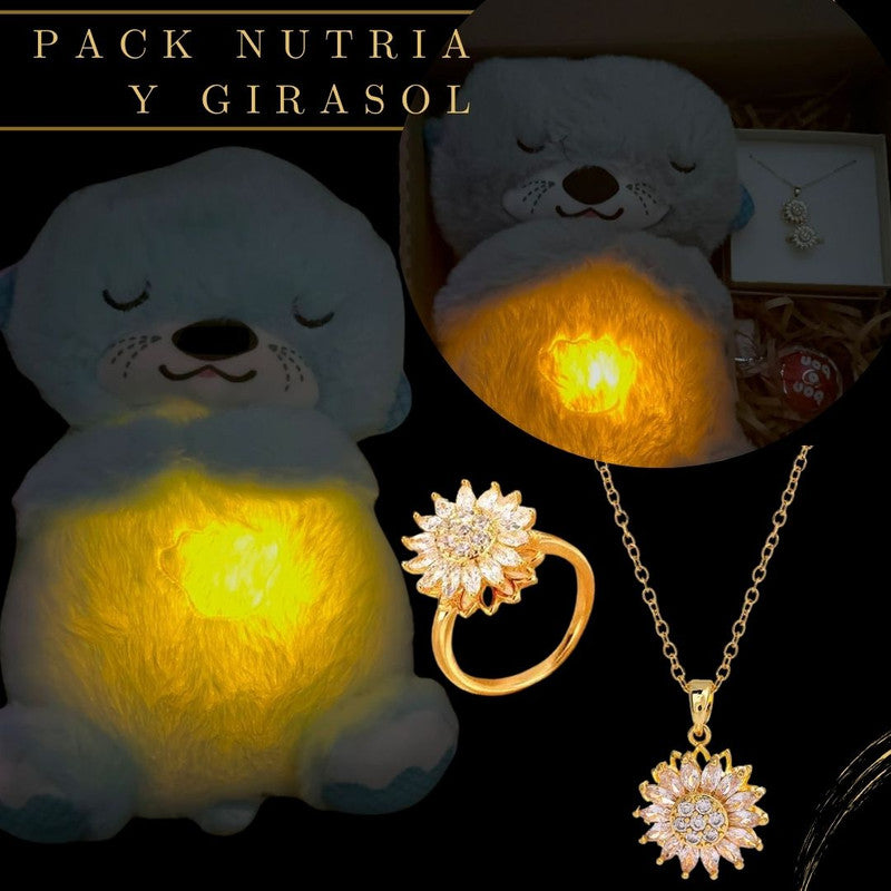 PACK NUTRIA, ANILLO Y COLLAR GIRASOL, CAJA DE REGALO